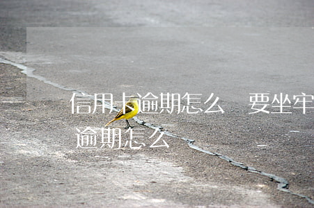 信用卡逾期怎么辦要坐牢嗎-坐牢后信用卡逾期怎么辦