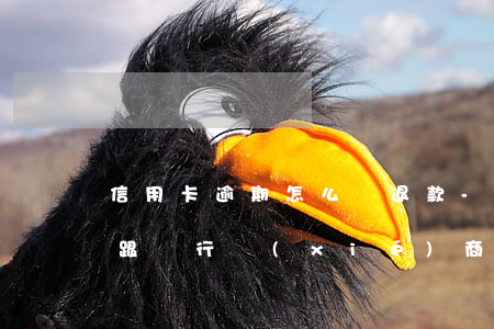信用卡逾期怎么辦退款-“信用卡逾期了怎么跟銀行協(xié)商解決”