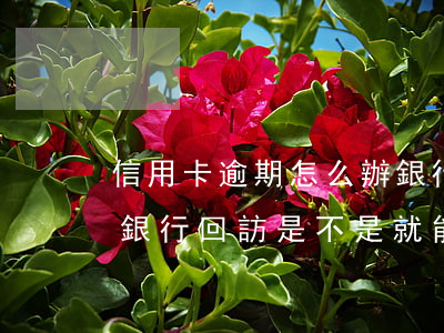 信用卡逾期怎么辦銀行回訪信用卡(辦信用卡銀行回訪是不是就能下卡了)