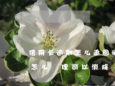 信用卡逾期怎么追回征信(征信有信用卡逾期怎么處理可以消除)