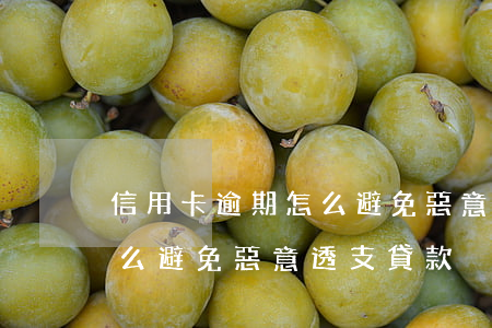信用卡逾期怎么避免惡意透支(信用卡逾期怎么避免惡意透支貸款)