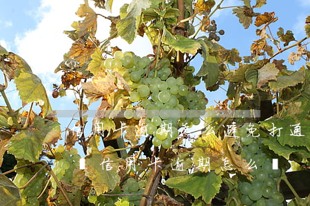 信用卡逾期怎么避免打通訊錄號(hào)碼(信用卡逾期怎么辦)