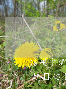 信用卡逾期怎么避免被起訴(有信用卡逾期被起訴的嗎)