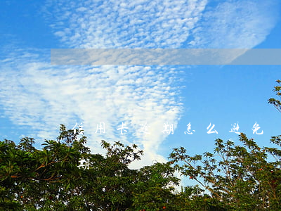 信用卡逾期怎么避免還款(怎樣避免信用卡逾期)