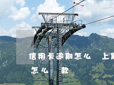 信用卡逾期怎么還上期賬單(上個月賬單逾期怎么還款)