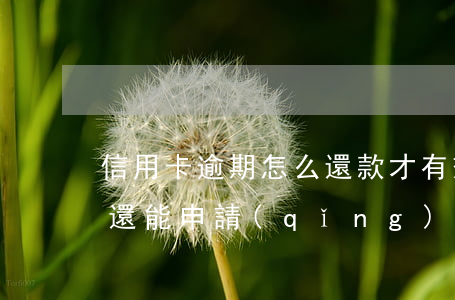 信用卡逾期怎么還款才有效(有逾期還款記錄還能申請(qǐng)信用卡嗎)