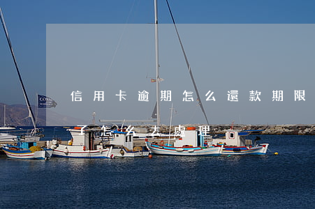 信用卡逾期怎么還款期限(信用卡逾期了還完了怎么去處理)