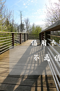 信用卡逾期怎么還款還不起(有逾期未還款是不是信用卡辦不了)