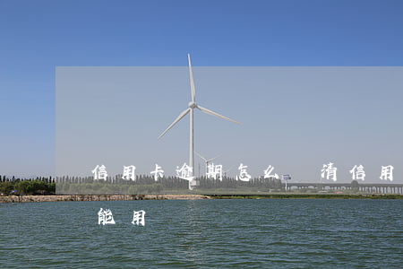 信用卡逾期怎么還清(信用卡逾期還清了卡還能用嗎)