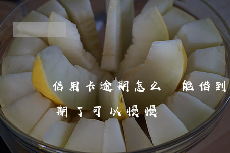信用卡逾期怎么還能借到錢(欠信用卡的錢逾期了可以慢慢還嗎)