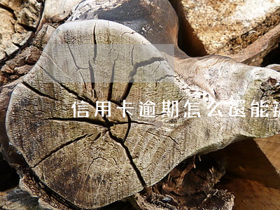 信用卡逾期怎么還能辦到信用卡