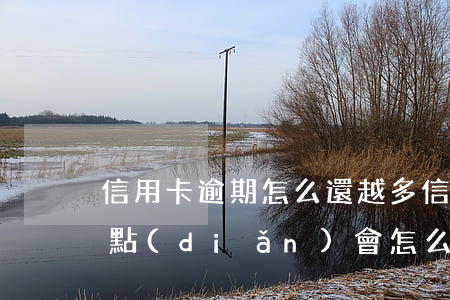 信用卡逾期怎么還越多(信用卡逾期每次都還點(diǎn)會怎么樣)