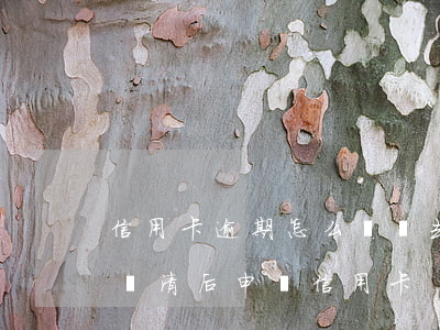 信用卡逾期怎么還進去(嚴(yán)重逾期還清后申請信用卡)
