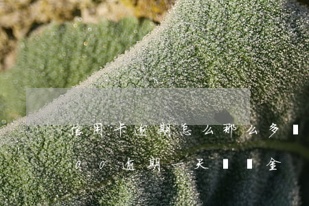 信用卡逾期怎么那么多違約金(信用卡20000逾期一天違約金)
