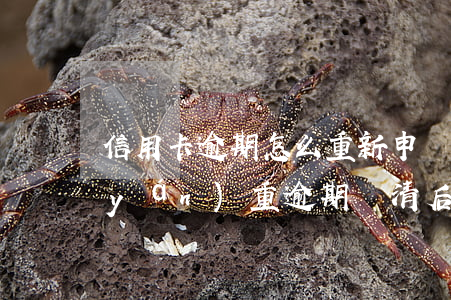 信用卡逾期怎么重新申請(qǐng)(嚴(yán)重逾期還清后申請(qǐng)信用卡)
