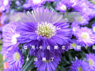 信用卡逾期怎么開不是惡意拖欠(沒注意信用卡逾期了)