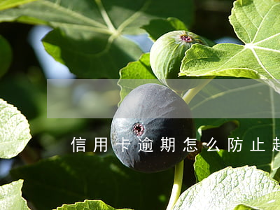 信用卡逾期怎么防止起訴