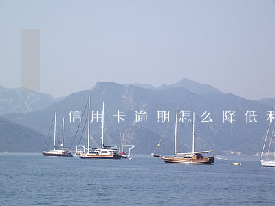 信用卡逾期怎么降低利息(信用卡逾期能把利息減了嗎)