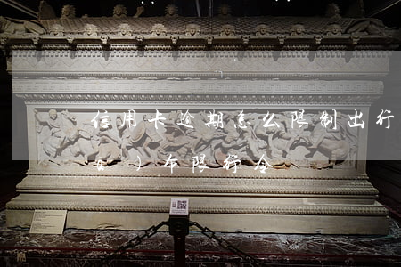 信用卡逾期怎么限制出行(信用卡逾期發(fā)布限行令)