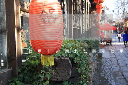 信用卡逾期怎么顯示(信用卡逾期怎么顯示的)