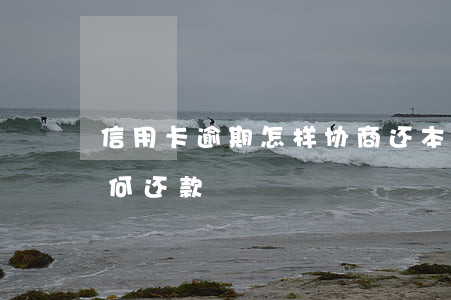 信用卡逾期怎样协商还本金(逾期的信用卡如何还款)