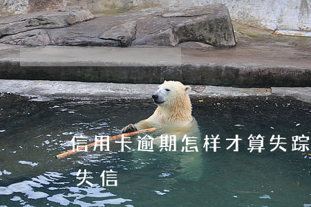 信用卡逾期怎样才算失踪(信用卡逾期多久算失信)