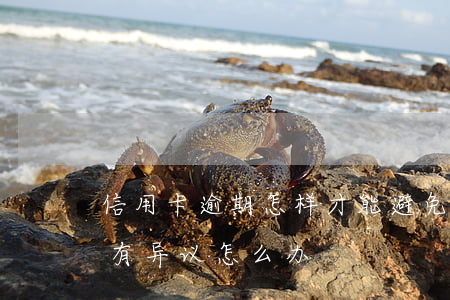 信用卡逾期怎样才能避免起诉(对信用卡逾期有异议怎么办)