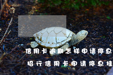信用卡逾期怎样申请停息挂账招商-怎么和招行信用卡申请停息挂账