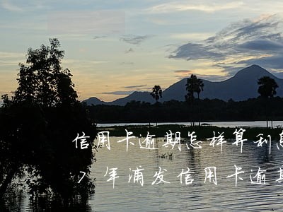 信用卡逾期怎样算利息是多少浦发-2017年浦发信用卡逾期