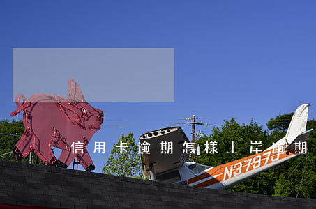信用卡逾期怎樣上岸(逾期如何上岸)