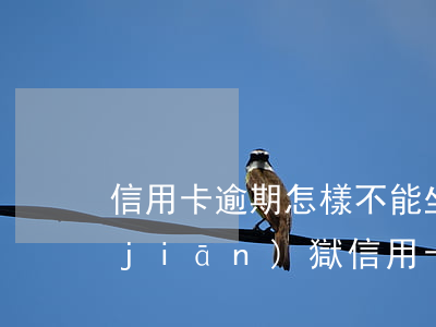 信用卡逾期怎樣不能坐牢(進(jìn)監(jiān)獄信用卡逾期能處理嗎)