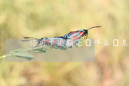 信用卡逾期怎樣停止計息和違約金