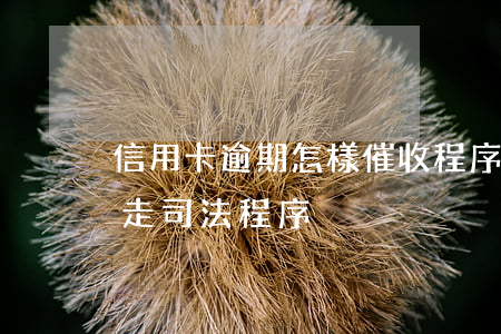 信用卡逾期怎樣催收程序(信用卡逾期催收說走司法程序)