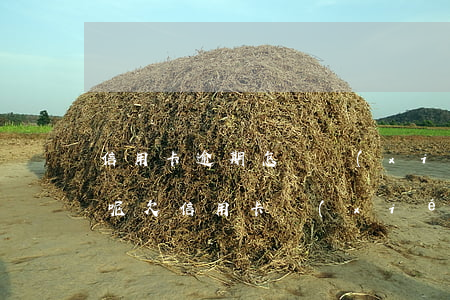 信用卡逾期怎樣協(xié)商還款最劃算呢(欠信用卡協(xié)商還款技巧)