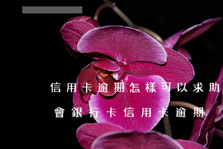 信用卡逾期怎樣可以求助銀監(jiān)會(銀行卡信用卡逾期)