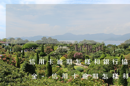 信用卡逾期怎樣和銀行協(xié)商還本金-信用卡逾期怎樣和銀行協(xié)商還本金呢