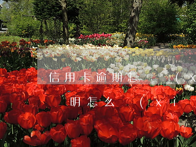 信用卡逾期怎樣寫(xiě)證明(銀行逾期證明怎么寫(xiě))