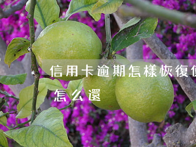 信用卡逾期怎樣恢復使用(信用卡逾期卡失效怎么還)