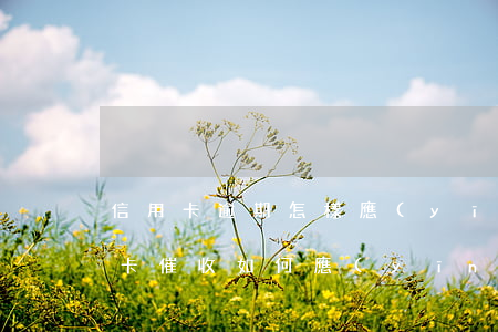 信用卡逾期怎樣應(yīng)付催收(信用卡催收如何應(yīng)對)