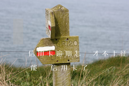 信用卡逾期怎樣才不上征信(征信有逾期就不能辦信用卡了嗎)