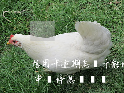 信用卡逾期怎樣才能停賬掛息(信用卡逾期能申請停息掛賬嗎)
