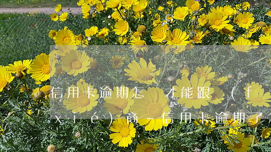 信用卡逾期怎樣才能跟發(fā)卡行協(xié)商-“信用卡逾期了怎么跟銀行協(xié)商解決”