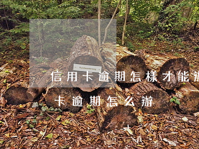 信用卡逾期怎樣才能辦貸款(銀行貸款有信用卡逾期怎么辦)