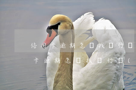 信用卡逾期怎樣找銀行協(xié)商(信用卡逾期怎樣找銀行協(xié)商)