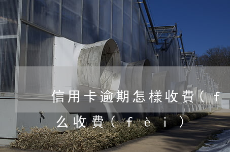 信用卡逾期怎樣收費(fèi)(逾期一般怎么收費(fèi))