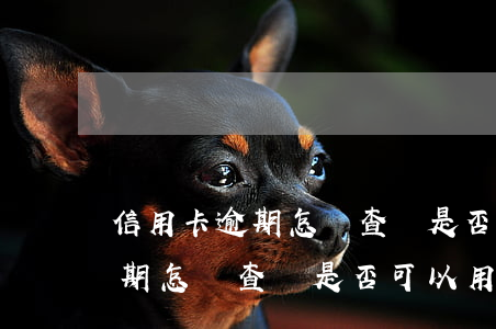 信用卡逾期怎樣查詢是否可以用-信用卡逾期怎樣查詢是否可以用了