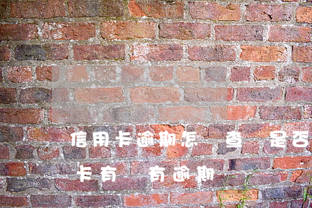 信用卡逾期怎樣查詢是否可以用(怎樣查信用卡有沒有逾期)