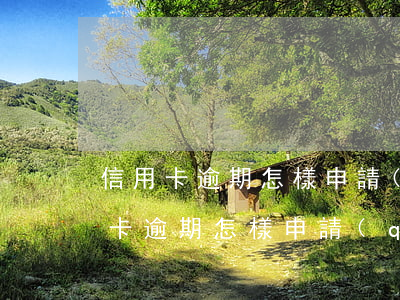 信用卡逾期怎樣申請(qǐng)撤銷(信用卡逾期怎樣申請(qǐng)撤銷)