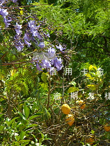 信用卡逾期怎樣申請減免還款期限-信用卡逾期怎樣申請減免還款期限呢