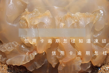 信用卡逾期怎樣知道凍結(jié)沒(méi)(信用卡逾期怎樣知道凍結(jié)沒(méi))
